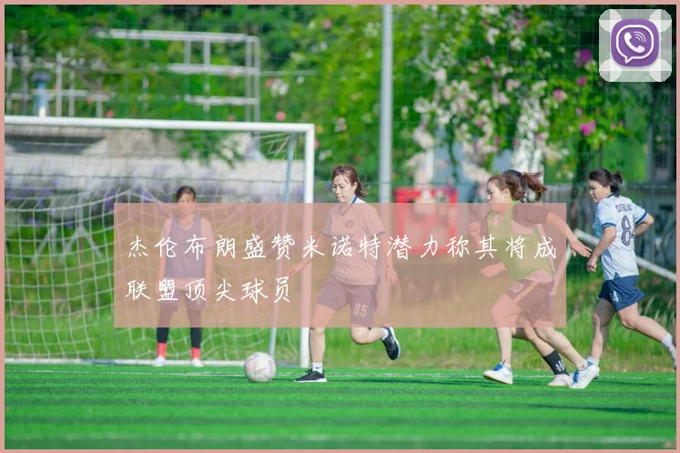 杰伦布朗盛赞米诺特潜力称其将成联盟顶尖球员